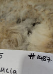 Lucia's Fleece White Sheared 2025