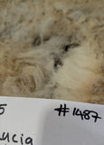Lucia's Fleece White Sheared 2025