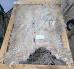 Lucia's Fleece White Sheared 2025