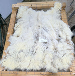 Lucia's Fleece White Sheared 2025