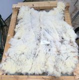 Lucia's Fleece White Sheared 2025
