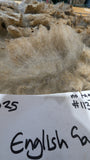 English Garden's Fleece Grey Sheared 2025
