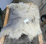 Hermoine's Fleece Grey Sheared 2025