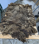 Adele's Fleece Moorit Sheared 2025
