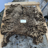 Adele's Fleece Moorit Sheared 2025