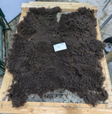 Adele's Fleece Moorit Sheared 2025