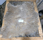 Alice Paul's Fleece Fawn Sheared 2025