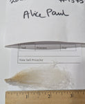 Alice Paul's Fleece Fawn Sheared 2025