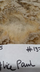 Alice Paul's Fleece Fawn Sheared 2025