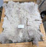 Alice Paul's Fleece Fawn Sheared 2025