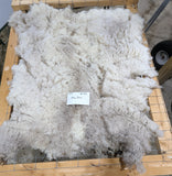 Alice Paul's Fleece Fawn Sheared 2025