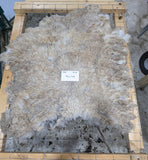 Meera Reed's Fleece Fawn Sheared 2025