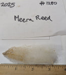 Meera Reed's Fleece Fawn Sheared 2025