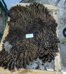 Lokola's Fleece Black Sheared 2025