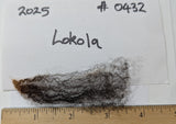 Lokola's Fleece Black Sheared 2025