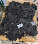 Lokola's Fleece Black Sheared 2025