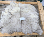 Tye's Fawn Sheared 2025