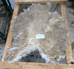 Elara's Fleece White Sheared 2025