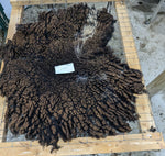 Luciana's Black Sheared 2025