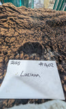 Luciana's Black Sheared 2025