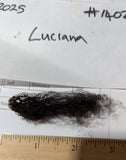 Luciana's Black Sheared 2025