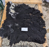 Luciana's Black Sheared 2025