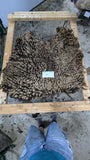 Aida's Fleece Moorit Sheared 2025