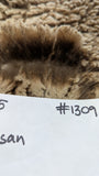 Susan's Fleece Moorit Sheared 2025