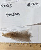 Susan's Fleece Moorit Sheared 2025