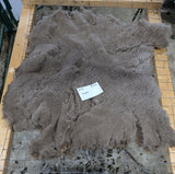 Susan's Fleece Moorit Sheared 2025