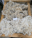 Sparrow's Fleece White Rooed 2025