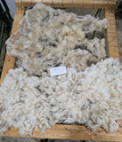 Sparrow's Fleece White Rooed 2025