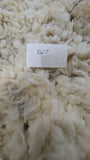 Sparrow's Fleece White Rooed 2025