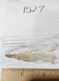Sparrow's Fleece White Rooed 2025