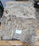 Zerlina's Fleece Fawn Rooed 2025