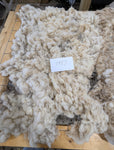 Zerlina's Fleece Fawn Rooed 2025