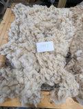 Zerlina's Fleece Fawn Rooed 2025