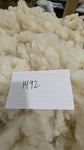 Musetta's Fleece White Rooed 2025