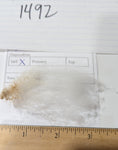 Musetta's Fleece White Rooed 2025