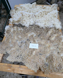 Tosca's Fleece White Rooed 2025