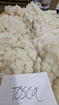 Tosca's Fleece White Rooed 2025