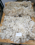 Puffin's Fleece White Rooed 2025