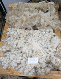 Puffin's Fleece White Rooed 2025