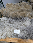 Cio Cio's Fleece Grey Rooed 2025