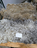 Cio Cio's Fleece Grey Rooed 2025
