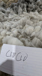 Cio Cio's Fleece Grey Rooed 2025