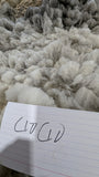 Cio Cio's Fleece Grey Rooed 2025