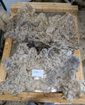 Juliet's Fleece Grey Rooed 2025