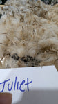 Juliet's Fleece Grey Rooed 2025