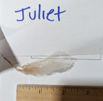Juliet's Fleece Grey Rooed 2025